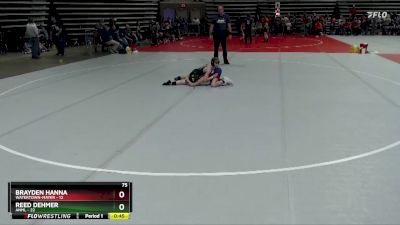 75 lbs Placement (4 Team) - Brayden Hanna, Watertown-Mayer vs Reed Dehmer, ANML