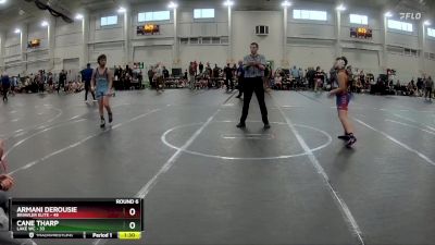 110 lbs Round 6 (10 Team) - Armani Derousie, Brawler Elite vs Cane Tharp, Lake WC