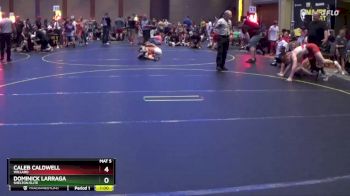 155 lbs Round 3 - Dominick Larraga, Shelton Elite vs Caleb Caldwell, Willard