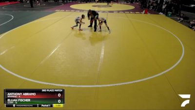 60 lbs Placement (4 Team) - Anthony Abramo, Brainerd vs Elijah Fischer, LCWM