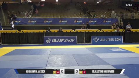 Anderson Luis Santos E Silva vs David Carl Ray Schlauch 2026 Pan Jiu Jitsu IBJJF Championship