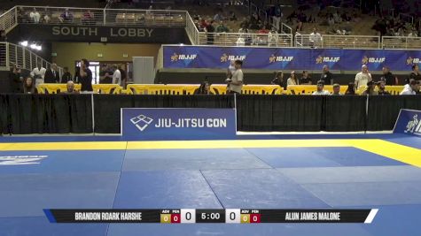 Benny Ka Pang Lee vs Brandon Roark Harshe 2026 Pan Jiu Jitsu IBJJF Championship