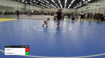 46 lbs Consolation - Chance Beal, Hudson Wrestling Club vs Blaise Henebry, Idaho Gold