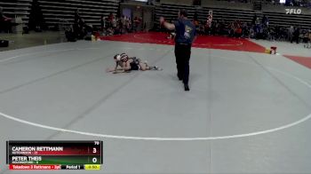 70 lbs Placement (4 Team) - Cameron Rettmann, Hutchinson vs Peter Theis, Holdingford