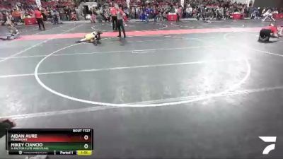 110 lbs Cons. Round 5 - Aidan Aure, Menomonie vs Mikey Ciancio, X-Factor Elite Wrestling