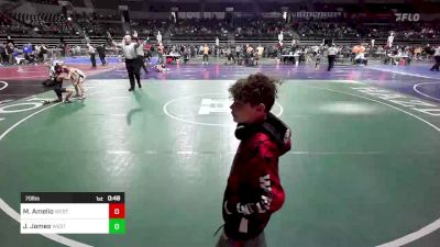 70 lbs Quarterfinal - Matthew Amelio, West Essex vs Jaxson James, Westwood