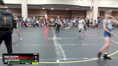 85 lbs Round 1 (6 Team) - Riley Pylypiak, Untouchables vs Kayden Barnes, Ares