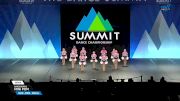 DanceWorks - Mini Pom [2025 Mini - Pom - Small Semis] 2025 The Dance Summit