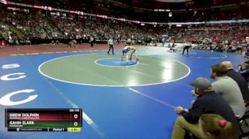 D3-113 lbs Quarterfinal - Drew Dolphin, Kenosha Christian Life vs Gavin Slark, Markesan