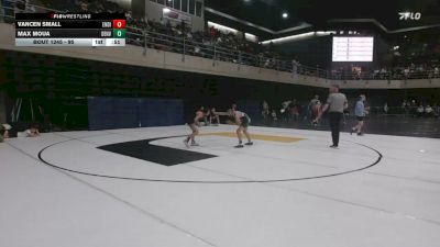 95 lbs Round Of 16 - Vancen Small, Endicott vs Max Moua, Denver