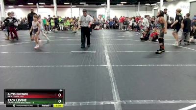 84 lbs Round 3 (8 Team) - Alyis Brown, PA Alliance vs Zack Levine, Savage Barn Brothers