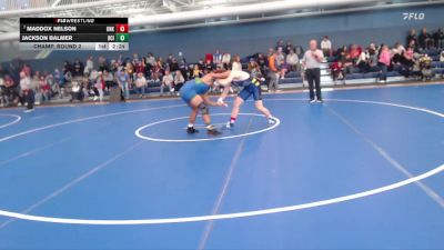 165 lbs Champ. Round 2 - Maddox Nelson, Nebraska-Kearney vs Jackson Balmer, Briar Cliff (Iowa)