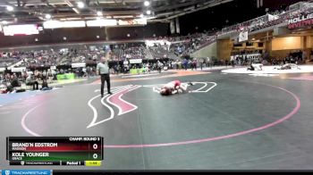 98 lbs Champ. Round 3 - Brand`n Edstrom, Madison vs Kole Younger, Grace