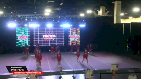PPA Panthers - Panthers [2026 Elementary Performance NT Day 2] 2026 U.S. National Cheer & Dance Championship