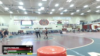 126 lbs Champ. Round 2 - Trystyn Freeland, Parma vs Kali Waggoner, TriValley