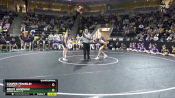 132 lbs Quarterfinal - Cooper Franklin, Alburnett vs Reece Hagenow, Wapsie Valley