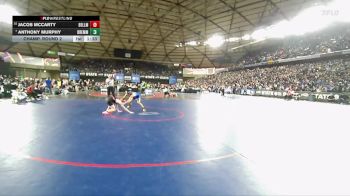 Boys 2A 120 lbs Champ. Round 2 - Anthony Murphy, Bremerton vs Jacob Mccarty, Bellingham