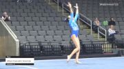Allison Kaempfer American Twisters - Floor