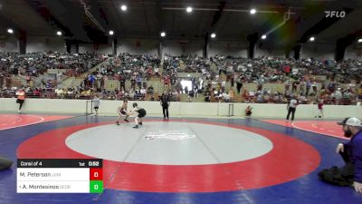 130 lbs Consi Of 4 - Micah Peterson, Junior Indian Wrestling vs Avett Montesinos, Georgia