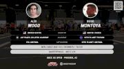 Alex Wood vs Diego Montoya 2024 ADCC Phoenix Open