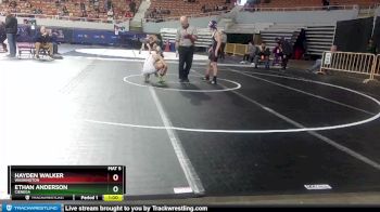 D2-113 lbs Cons. Round 1 - Ethan Anderson, Cienega vs Hayden Walker, Washington