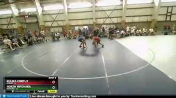 126 lbs Round 2 (10 Team) - Kulika Corpuz, HAWAII vs Hoken Hironaka, NEVADA2