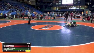 140 lbs Quarterfinal - Alyssa Keane, Tinley Park (Andrew) vs Kaila Williams, Peoria (Richwoods)