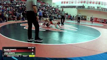 120 lbs Semifinal - Blake Frantz, Wadsworth vs Josh Sheets, St Francis De Sales (Columbus)