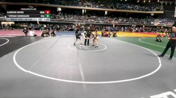 5A 132 lbs Champ. Round 1 - Ethan Gonzales, Edinburg Vela vs Landon Song, Frisco Memorial