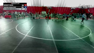 84 lbs Champ. Round 3 - Bennett Davis, Pinnacle vs Easton Hamacher, Mn Elite