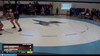 160 lbs Champ. Round 1 - Jesse Hendershot, Iowa City, City High vs Cadin Herrmann, Waterloo East