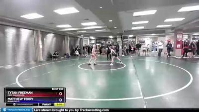 74 lbs Round 2 - Tytan Freeman, East Idaho Elite vs Matthew Terry, Idaho Gold