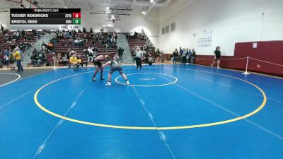175 lbs Quarterfinal - Tucker Hendricks, Star Valley vs Bristol Rees, Green River