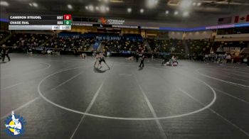 175 lbs Cons. Round 2 - Cameron Steudel, Hortonville vs Chase Rial, Bondurant-Farrar