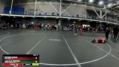 52 lbs Round 2 (4 Team) - Lincoln Memmo, Vipers Wrestling vs Tayden Bong, Doughboy