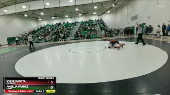 140 lbs Champ. Round 1 - Kylee Batista, Kemmerer vs Amellia France, Lyman