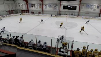 Replay: Home - 2023 TB Jr Lightning vs Predators U14 | Dec 1 @ 12 PM