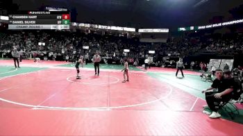 95 lbs Champ. Round 1 - Chansen Hart, ATW2 vs Daniel Silver, GFF3