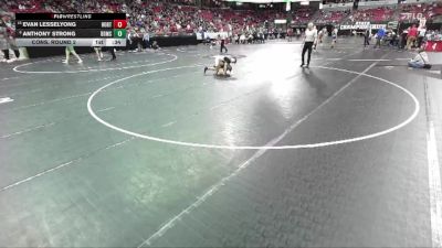 D1-106 lbs Cons. Round 2 - Evan Lesselyong, Hortonville vs Anthony Strong, Brown Deer/Messmer/Shorew.