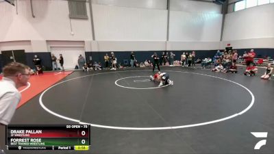 75 lbs Quarterfinal - Drake Pallan, 3F Wrestling vs Forrest Rose, Best Trained Wrestling