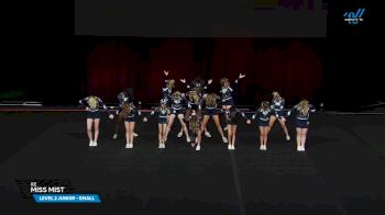 ICE - Miss Mist [2025 L2 Junior - Small Semis] 2025 The Summit