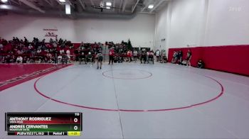 113 lbs Champ. Round 1 - Andres Cervantes, Mountain Vista vs Anthony Rodriguez, Vista Peak