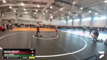 58 lbs Round 3 - Aaliyah Mercado, Wesley Club Wrestling vs Aria Nunez, Takedown Elite Wrestling