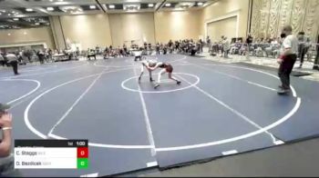 98 lbs Quarterfinal - Cael Staggs, NV Elite vs Olivia Bezdicek, Southern Idaho WC