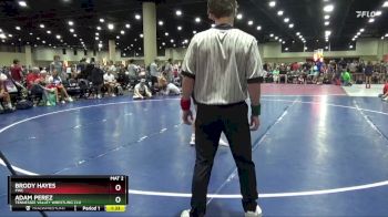 132 lbs Quarterfinal - Brody Hayes, PWC vs Adam Perez, Tennessee Valley Wrestling Clu