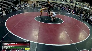 133 lbs Round 3 (4 Team) - Donavin Ward, Hastings vs Gunnar Cameron, Anoka