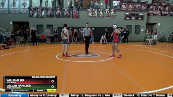 134 lbs Consolation Bracket - Williams Hu, Bob Jones vs Declan Hamilton, Hazel Green HS