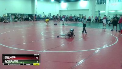 120 lbs Round 2 (10 Team) - Cole Webb, Palm Bay vs Blake Bartos, Tomahawk Wrestling Club