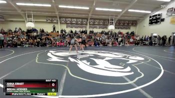 132 lbs Cons. Round 5 - Bekah Hodges, Campo Verde High School vs Anna Ernst, Horizon