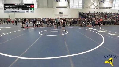 83 lbs Quarterfinal - Gino Hayes, Webster Schroeder Youth Wrestling vs Clayton Marshall, SVEC Eagles